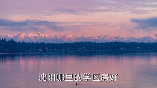 沈阳哪里的学区房好