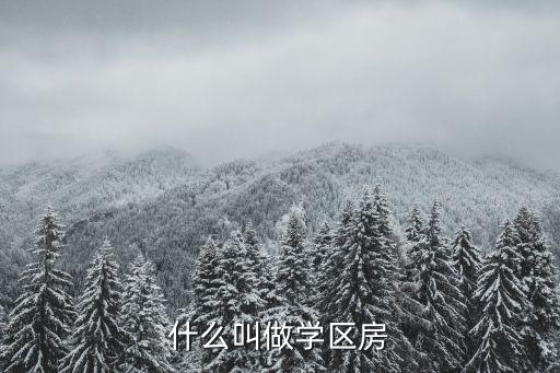 什么叫做学区房