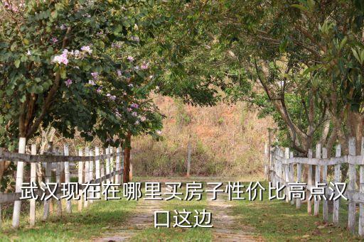 武汉江汉路房价多少一平米,2009年武汉房价多少一平方