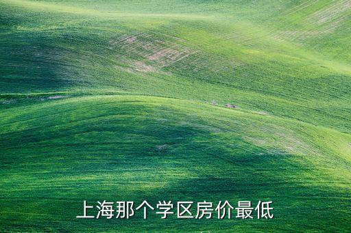 上海学区房什么价，上海那个学区房价最低