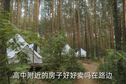 高中附近的房子好好卖吗在路边