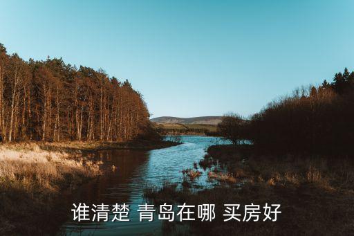 谁清楚 青岛在哪 买房好