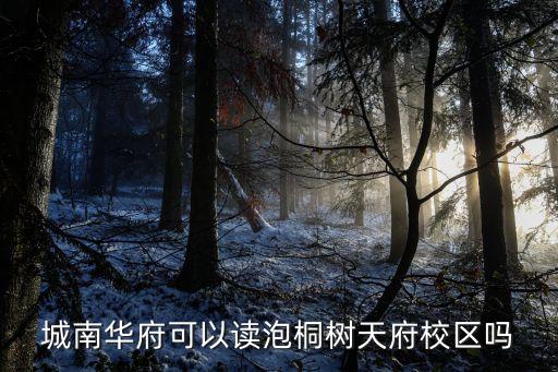 城南华府可以读泡桐树天府校区吗