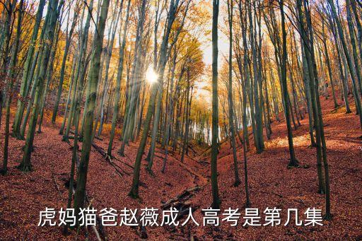 虎妈猫爸赵薇成人高考是第几集