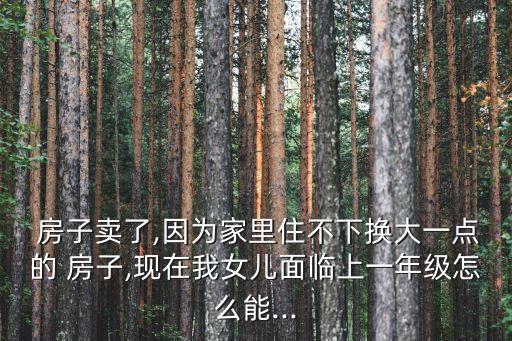 房子换到学区房怎么办,放弃学区房换到大房子