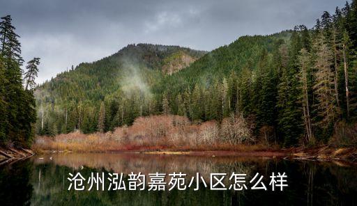 泓韵嘉苑是什么学区房，在民心佳园附近有哪些学校教育条件怎么样