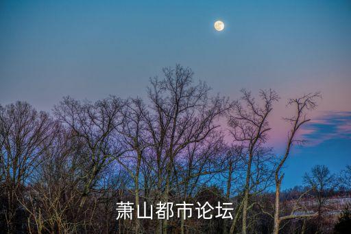 萧山都市论坛