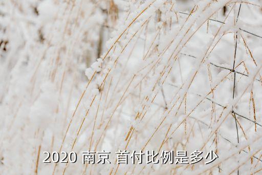 2020 南京 首付比例是多少