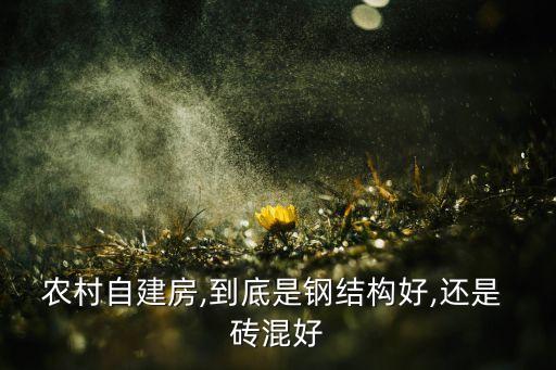 农村自建房,到底是钢结构好,还是 砖混好