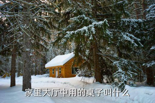 家里大厅中用的桌子叫什么