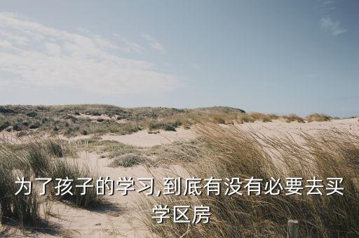 为了孩子的学习,到底有没有必要去买 学区房