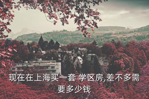 现在在上海买一套 学区房,差不多需要多少钱