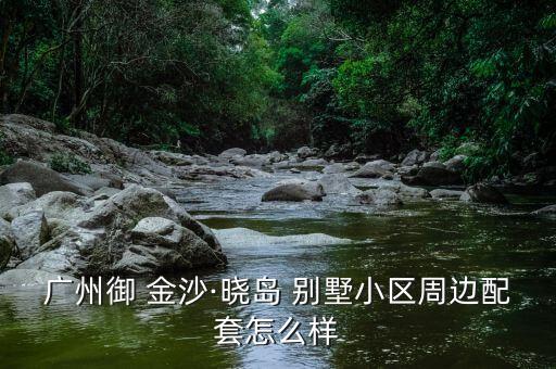 金沙乐府别墅学区房怎么样
