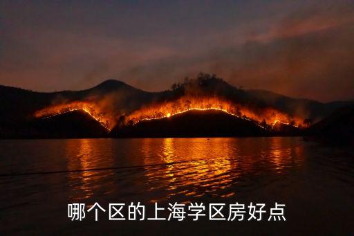 哪个区的上海学区房好点