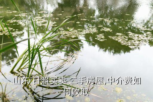 日照个人急售二手房