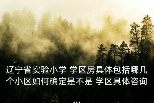 辽宁省实验小学 学区房具体包括哪几个小区如何确定是不是 学区具体咨询...