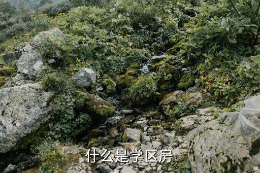 重庆什么是学区房，什么是学区房