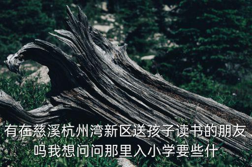 有在慈溪杭州湾新区送孩子读书的朋友吗我想问问那里入小学要些什