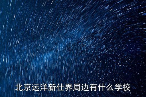 北京远洋新仕界周边有什么学校