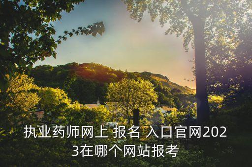 执业药师网上 报名 入口官网2023在哪个网站报考