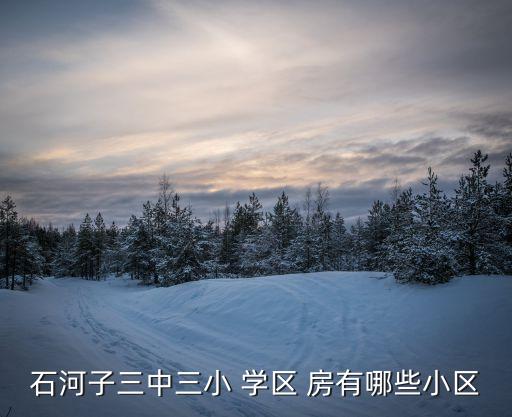 石河子三中三小 学区 房有哪些小区