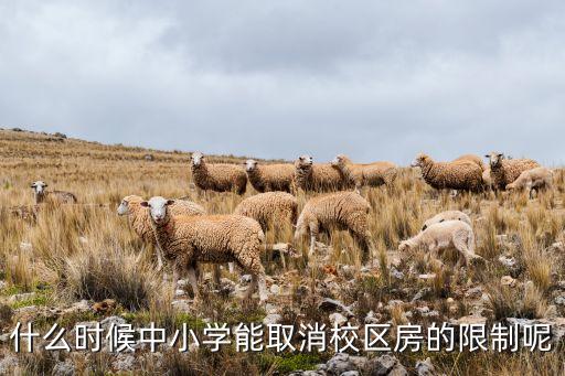 什么时候中小学能取消校区房的限制呢