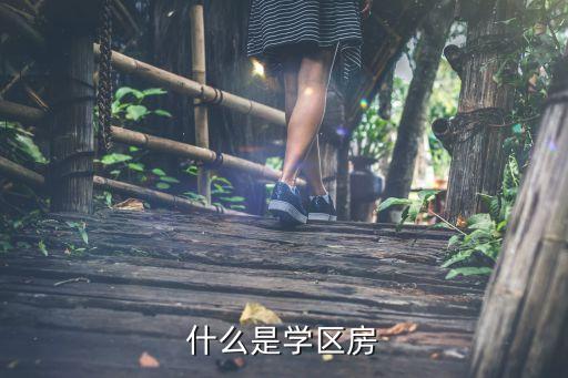 什么是学区房
