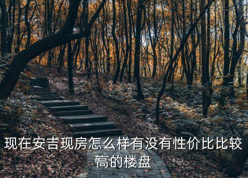 现在安吉现房怎么样有没有性价比比较高的楼盘