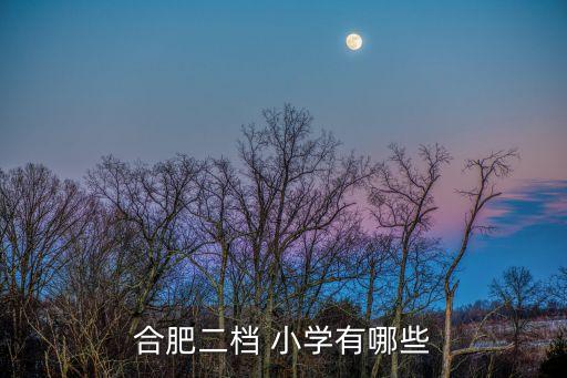 合肥二档 小学有哪些