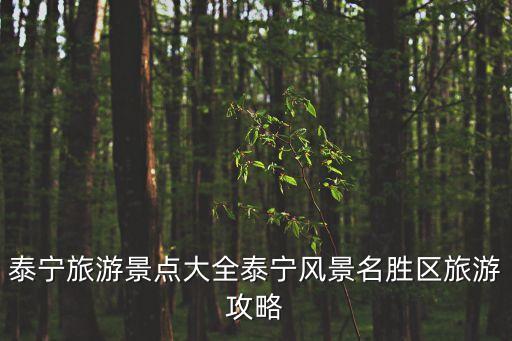 泰宁旅游景点大全泰宁风景名胜区旅游攻略