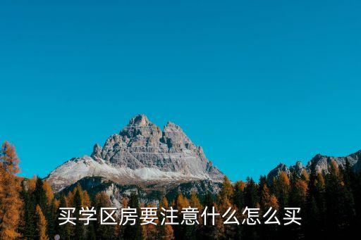 买学区房需要什么考量，学区房的问题