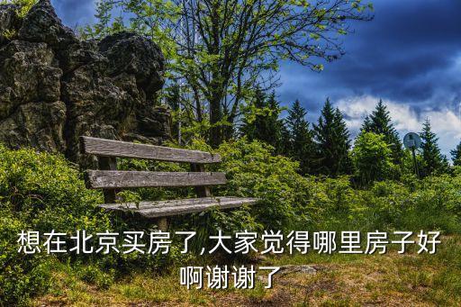 亦庄学区房怎么样,亦庄人大附中学区房范围