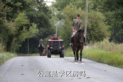 悦华公寓是什么学区的房，公寓是学区房吗