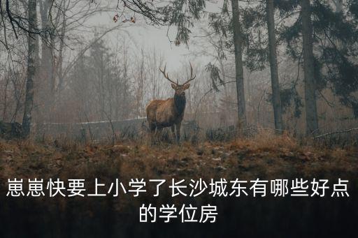 崽崽快要上小学了长沙城东有哪些好点的学位房