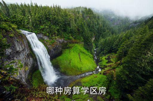 哪种房算学区房