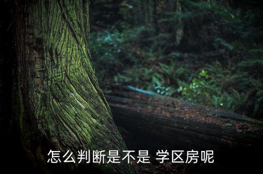 怎么判断是不是 学区房呢