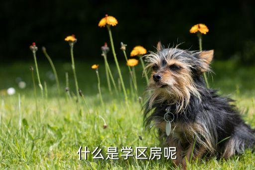 什么是学区房呢