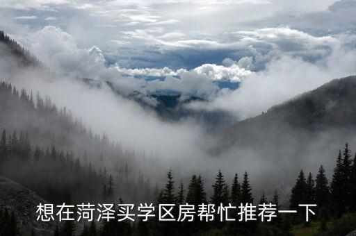 想在菏泽买学区房帮忙推荐一下