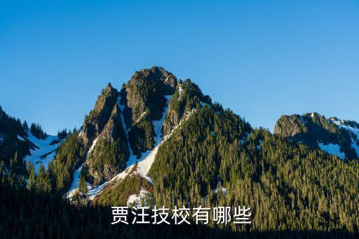  贾汪技校有哪些