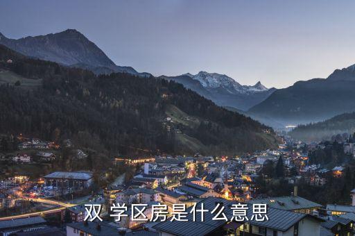 双 学区房是什么意思