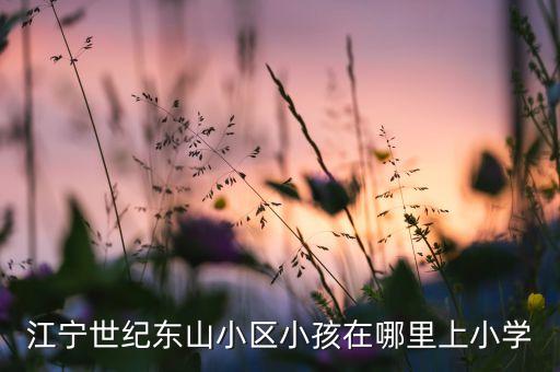 江宁世纪东山小区小孩在哪里上小学