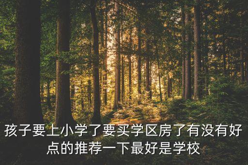 玉翠新村买什么学区房好，学区房买哪儿你真的买对了吗
