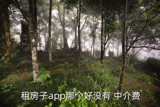  租房子app哪个好没有 中介费