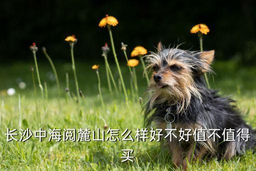 长沙中海阅麓山怎么样好不好值不值得买