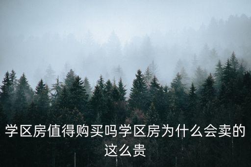 学区房值得购买吗学区房为什么会卖的这么贵