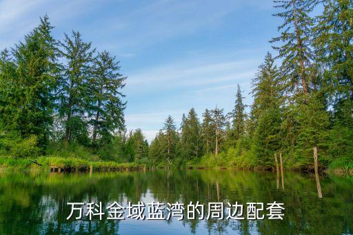 临河金域蓝湾什么学区房，南京江宁清水亭东路万科金域蓝湾属于哪个学区房 小孩要上小学