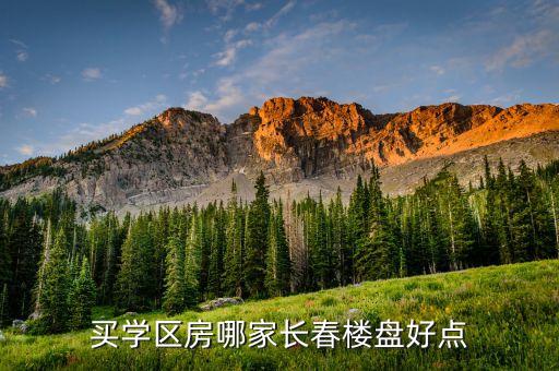 买学区房哪家长春楼盘好点