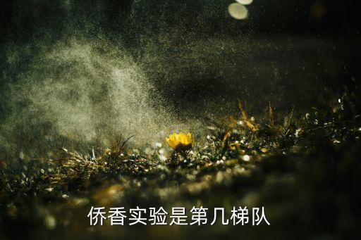 学区房c类是什么意思,取消学区房是什么意思