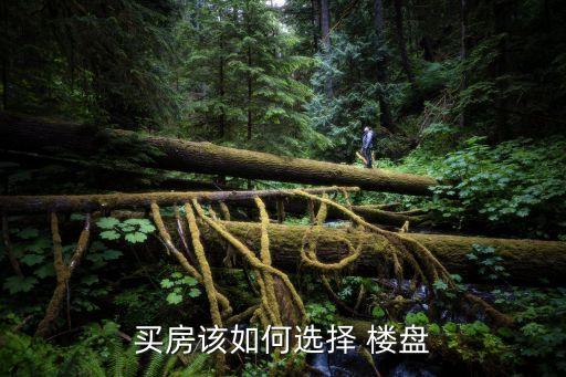 买房该如何选择 楼盘