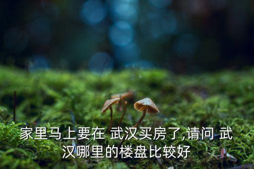 家里马上要在 武汉买房了,请问 武汉哪里的楼盘比较好
